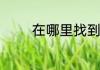 在哪里找到微信的授权管理