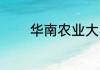 华南农业大学是985还是211