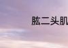 肱二头肌练完拉伸方法