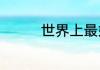 世界上最好养的鱼是什么