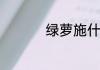绿萝施什么肥料长得好