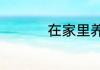 在家里养鱼有什么讲究