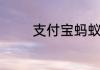 支付宝蚂蚁会员等级怎么刷
