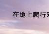 在地上爬行对身体有哪些好处
