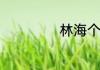 林海个人资料简介