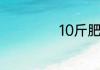 10斤肥肉多大体积