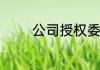 公司授权委托书的范文模板