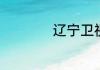 辽宁卫视是哪个频道