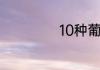 10种葡萄品种大全