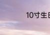 10寸生日蛋糕有多大