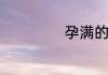 孕满的拼音是什么