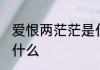 爱恨两茫茫是什么意思 爱恨两茫茫指什么