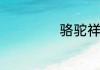 骆驼祥子的读后感