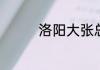 洛阳大张总部在什么地方