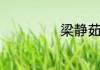 梁静茹情歌的歌词