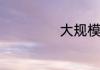 大规模是什么意思