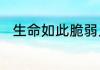 生命如此脆弱人生短暂的感慨句子