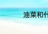 油菜和什么搭配炒好吃