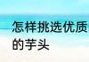 怎样挑选优质的芋头 如何挑选好优质的芋头