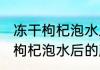 冻干枸杞泡水后应该是什么颜色 冻干枸杞泡水后的颜色介绍