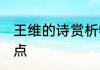 王维的诗赏析特点 分析王维诗歌的特点