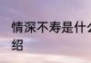 情深不寿是什么意思 情深不寿词义介绍
