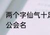 两个字仙气十足公会名 随性仙气十足公会名