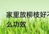 家里放柳枝好不好 柳枝放在家里有什么功效