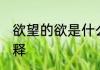 欲望的欲是什么意思 欲望的欲怎么解释