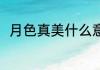 月色真美什么意思 月色真美指什么