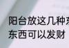 阳台放这几种东西发财 阳台放这什么东西可以发财