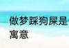 做梦踩狗屎是什么意思 做梦踩狗屎的寓意