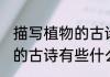 描写植物的古诗有哪些 关于描写植物的古诗有些什么