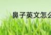 鼻子英文怎么读 鼻子英文介绍