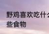 野鸡喜欢吃什么食物 野鸡最喜欢吃哪些食物