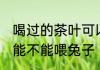 喝过的茶叶可以喂兔子吗 喝过的茶叶能不能喂兔子