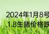 2024年1月8号生猪价格怎么样 2024.1.8生猪价格跌涨表什么情况