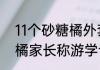 11个砂糖橘外套是家长选的   小砂糖橘家长称游学计划半年前提出