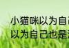 小猫咪以为自己也是洗发水   小猫咪以为自己也是洗发水什么情况