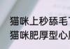 猫咪上秒舔毛下秒无症状发病去世   猫咪肥厚型心肌病为何又叫极速杀手