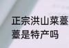 正宗洪山菜薹每年产多少斤  洪山菜薹是特产吗