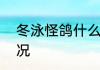 冬泳怪鸽什么意思   冬泳怪鸽什么情况