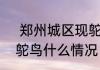  郑州城区现鸵鸟原因  郑州街头出现鸵鸟什么情况