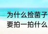 为什么捡菌子前要拍一拍    捡菌子前要拍一拍什么原因