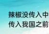 辣椒没传入中国前川渝吃什么  辣椒传入我国之前用什么替代