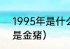 1995年是什么年（1995猪年几月份是金猪）