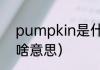 pumpkin是什么意思（pumpkin是啥意思）