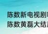 陈数新电视剧哪部好看（夫妻那些事陈数黄磊大结局）
