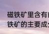 磁铁矿里含有的主要成分是什么（磁铁矿的主要成分是什么）