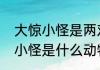 大惊小怪是两对反义词成语吗（大惊小怪是什么动物）